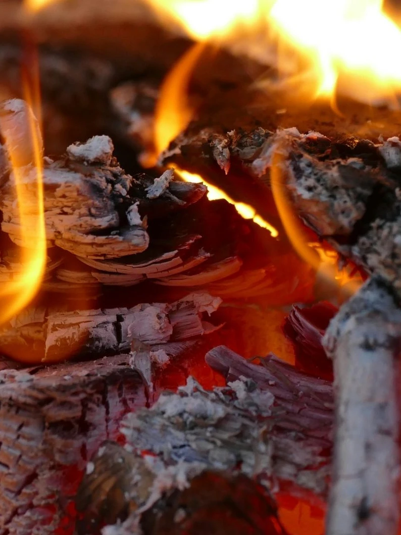 restaurante-carnes-a-la-brasa-chuletones-premium_10